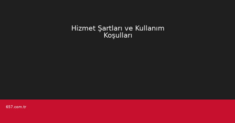 Hizmet Şartları ve Kullanım Koşulları