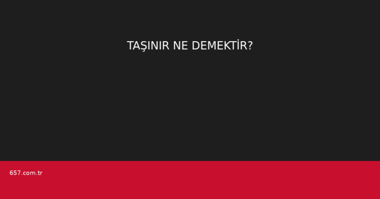 TAŞINIR NE DEMEKTİR?