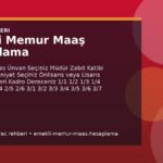 Emekli Memur Maaş Hesaplama kapak gorseli